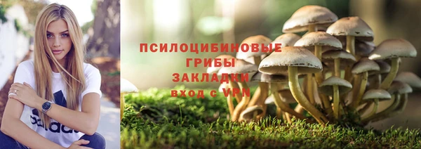 мескалин Богородицк