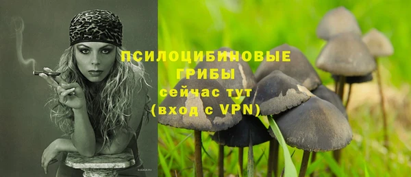 МДМА Богданович