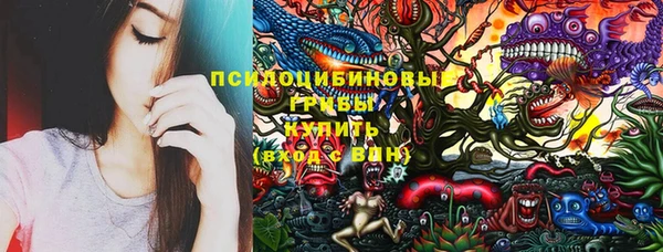 МДМА Богданович