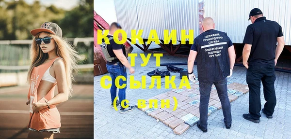 мескалин Богородицк