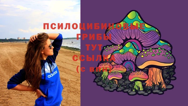 МДМА Богданович