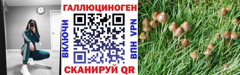 наркота  Добрянка  Псилоцибиновые грибы Psilocybine cubensis 